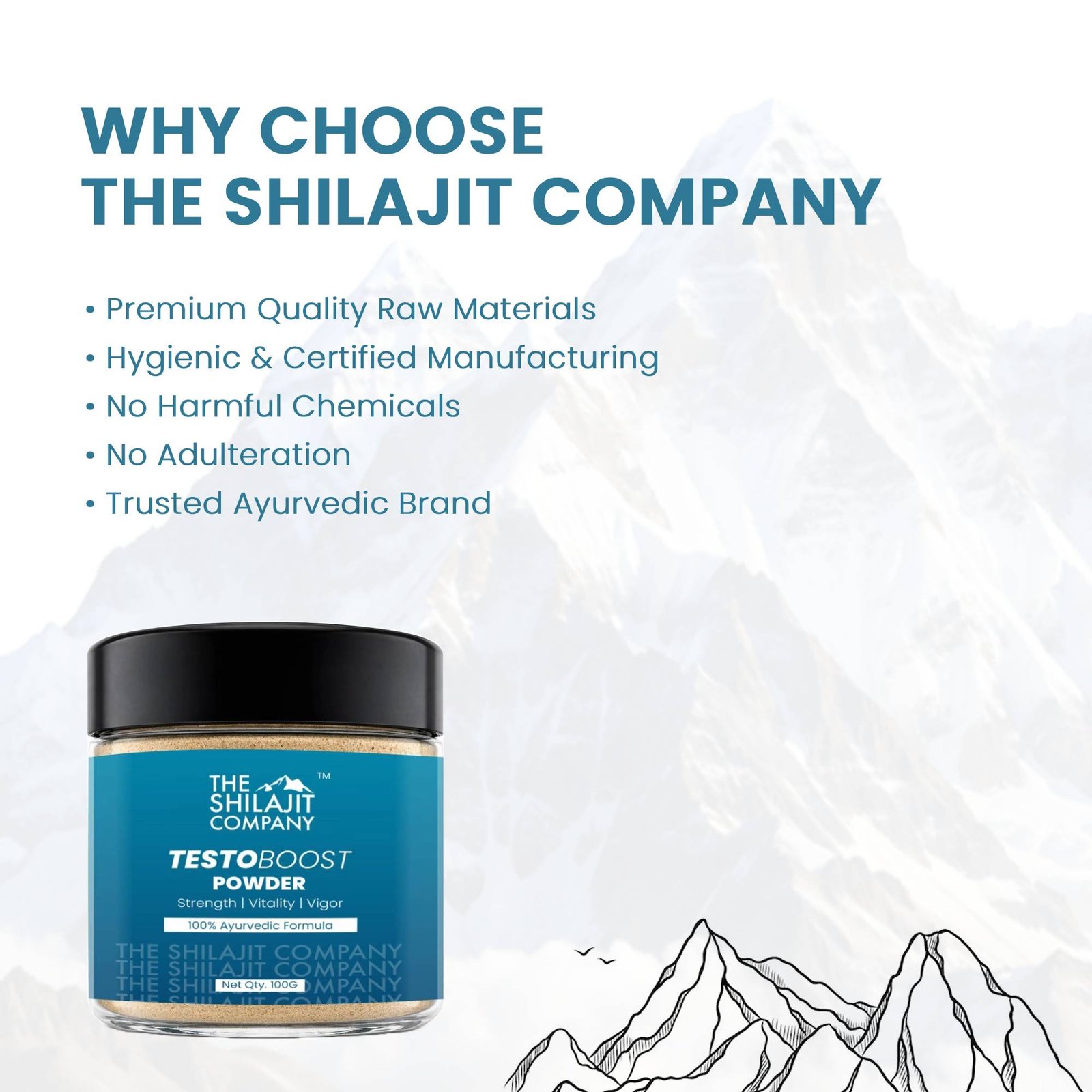 Testo BOOST Powder | Natural Strength | Vitality & Vigor 100gm - Image 2